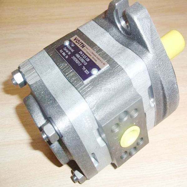 IPVP6-100-101齿轮泵